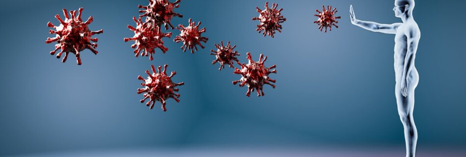 Immunsystem stärken für Longevity