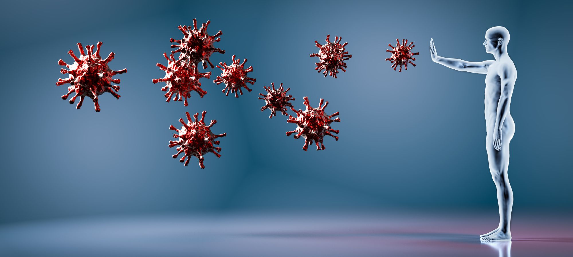 Immunsystem stärken für Longevity