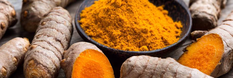 Curcumin und Longevity – die natürliche Verbindung zur Förderung der Muskelgesundheit, Regeneration und Entzündungshemmung für ein längeres, aktives Leben.