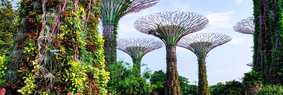 Longevity in Singapur neue Blue Zone